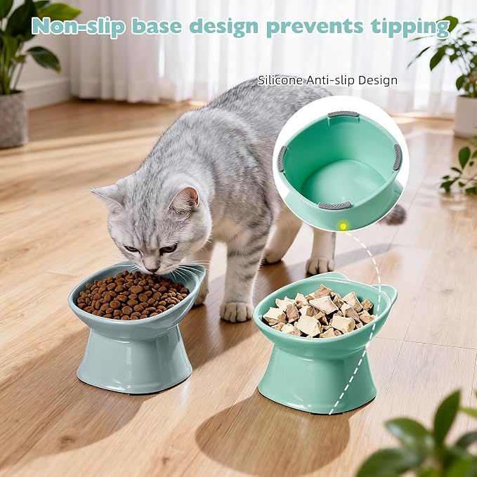 KSIA Klear Elevated Cat Bowls 2 Pack, Tilted Raised Cat Bowls for Indoor Cats, for Food and Water, 4.72" Wide, Whisker Friendly Anti Vomit for Indoor Cats, Microwave and Dishwasher Safe, Blue&Green - Image 6