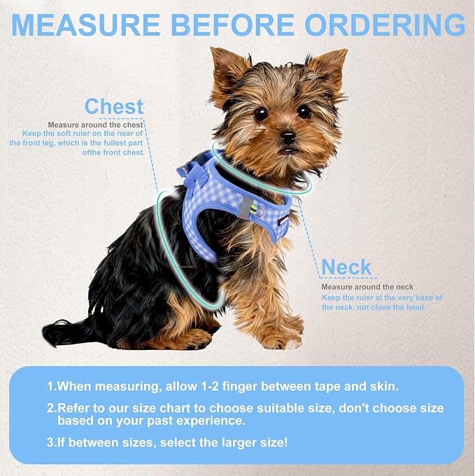 AIITLE Step in Small Dog Harness and Leash Set, Puppy Pet Vest, Blue XS | Breathable Mesh, Adjustable Fit, No-Pull Reflective Design, Escape Proof, for Small-Medium Dogs, Outdoor Walking, Running - Image 8