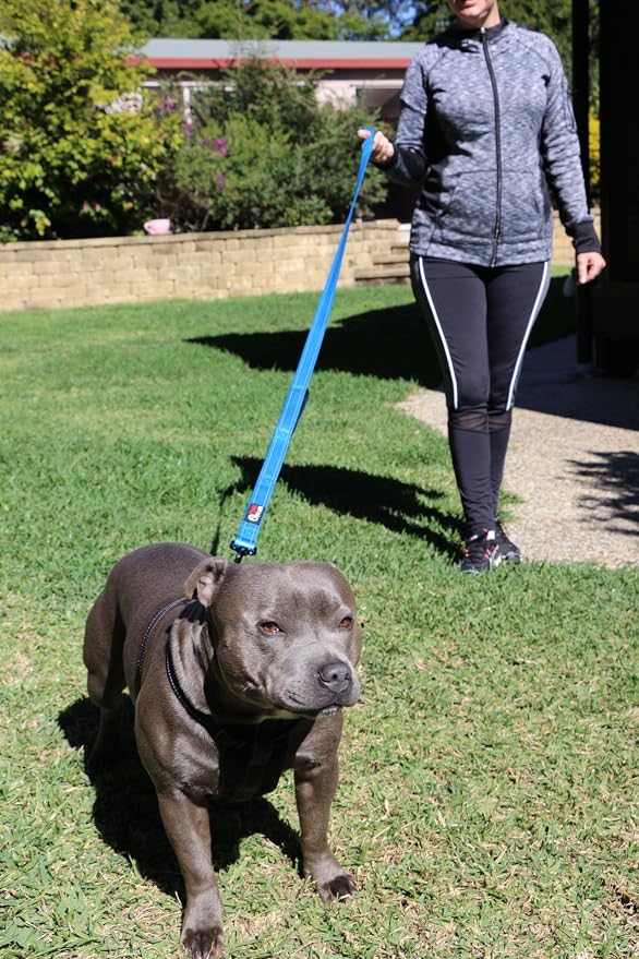 Dog Leash 6ft Long,Traffic Padded Two Handle,Heavy Duty,Reflective Double Handles Lead for Control Safety Training,Leashes for Large Dogs or Medium Dogs,Dual Handles Leads(Blue) - Image 3