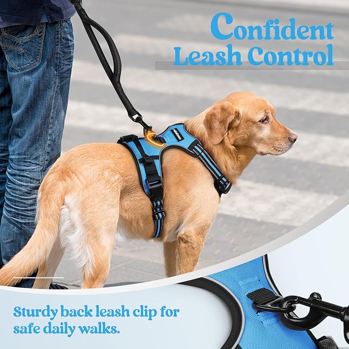 rabbitgoo Dog Harness, No Pull for Large Dogs with 2 Leash Clips, Pet Vest | No Choke with Handle, Adjustable Soft Padded, Reflective, Easy Control for Walking, Blue, X-Large - Image 6