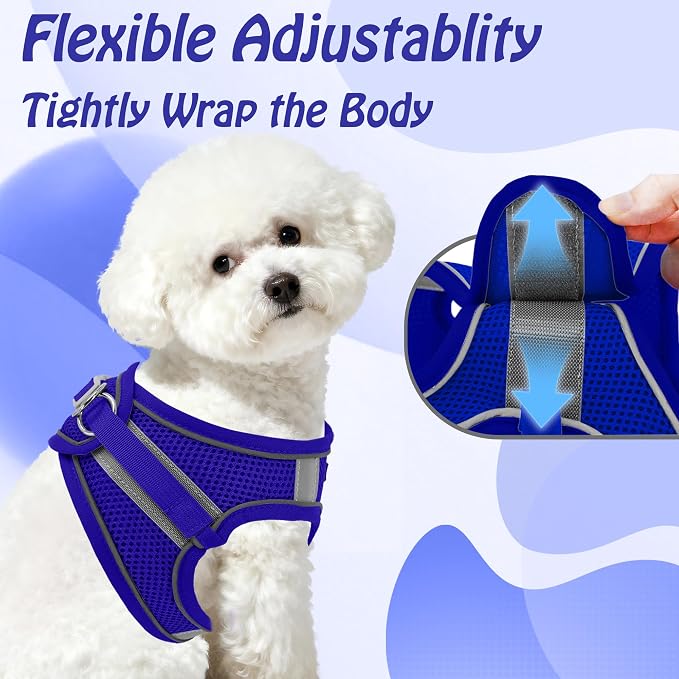 AIITLE Dog Harness and Leash Set, Step-in Puppy Pet Vest, Royal Blue XXS | Breathable Mesh, Adjustable Fit, Reflective Design, Padded Leash Handle, for Small-Medium Dogs & Cats, Walking, Training - Image 6