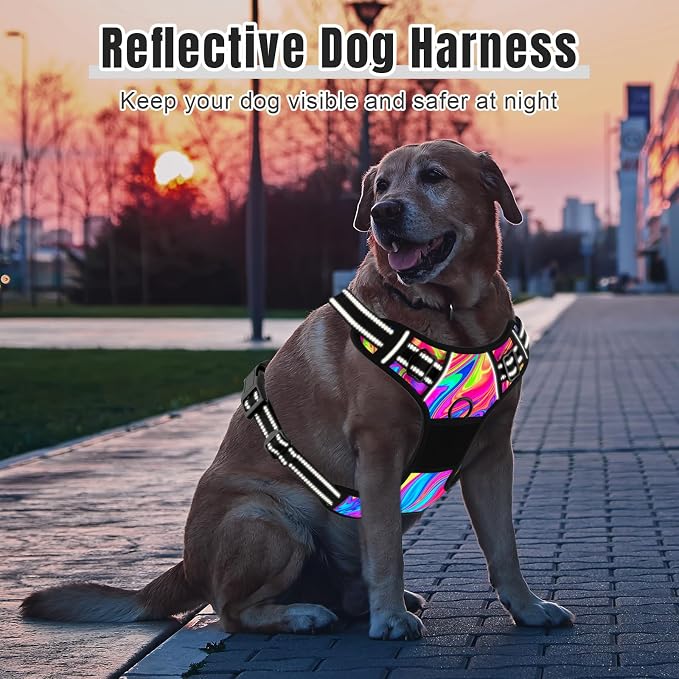 Rnivvi No Pull Dog Harness, Cute Reflective Large Sized Puppy Harness, Adjustable Soft Padded Vest for Large Dogs, Heavy Duty Pet Vest with Easy Control Handle for Walking Training, Rainbow Art - Image 6