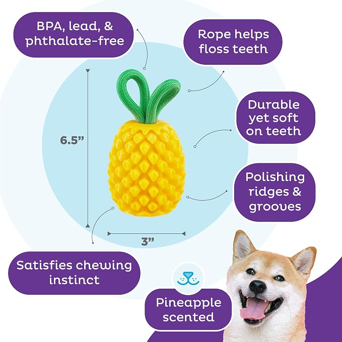 Outward Hound Dental Pineapple Dog Toy & Treat Stuffer, 6.8″ x 3.3″ Pineapple-Scent Interactive Chew for Dogs, Promote Healthy Teeth, Gums & Mental Enrichment, Reduce Boredom & Support Dental Health - Image 3