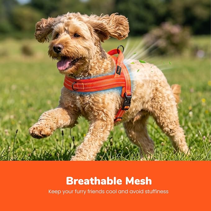 No Pull Dog Harness for Small Dogs, Breathable Mesh Padded, Orange, S | Quick Fit, Easy On and Off, Lightweight, Reflective Vest Harness for Night Safty, Easy for Walking and Training, Chest 18-22" - Image 2
