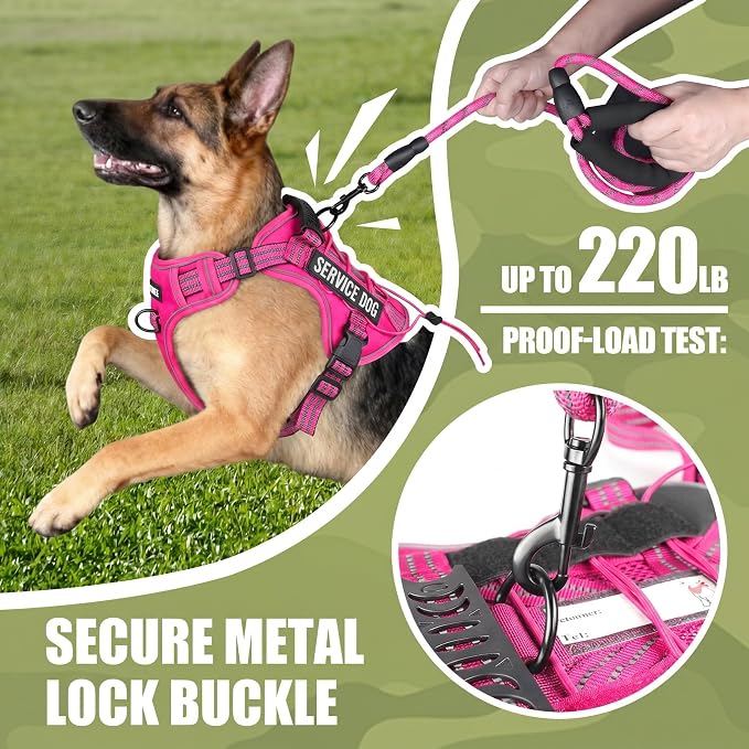 3-in-1 Dog Vest Harness Leash Set for Daily,Service,Training Animal X Large - Image 4