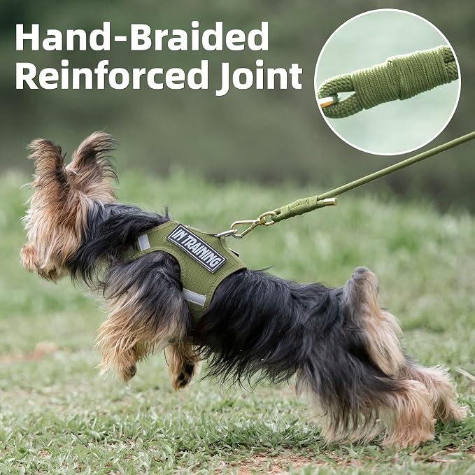 5FT Dog Leash 5/16 inch Puppy Cat Rope Lead | Misty Green, with Anti-tangle Swivel Clip, Comfortable Non-slip Grip Handle, Ideal for Daily Walks, for Small Medium Dogs - Image 3