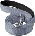 6FT Reflective Dog Leash, Padded Handle for Small Medium Dogs | Comfortable Nylon, Soft Handle Cushioning, Reflective Safety at Night, Walking Leash for Park & Hiking (3/4in, Grey) by Erbine
