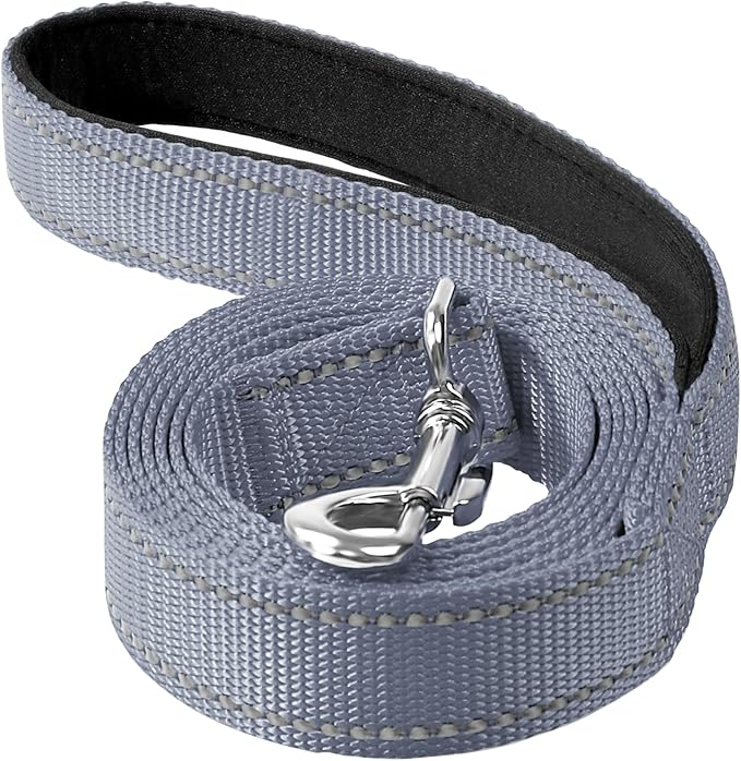 6FT Reflective Dog Leash, Padded Handle for Small Medium Dogs | Comfortable Nylon, Soft Handle Cushioning, Reflective Safety at Night, Walking Leash for Park & Hiking (3/4in, Grey) by Erbine