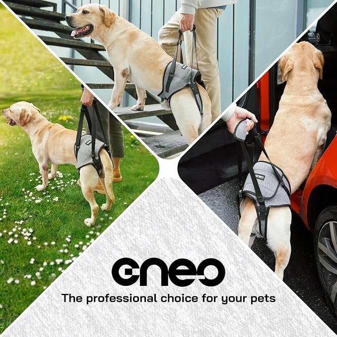 CNEO Dog Lift Harness, Dog Sling for Medium Large Dogs, Adjustable Dog Support Harness for Back Legs, Comfy Design Pet Harness with Padded for Elderly, Injured, Arthritic, Senior, Disabled Dogs - Image 6