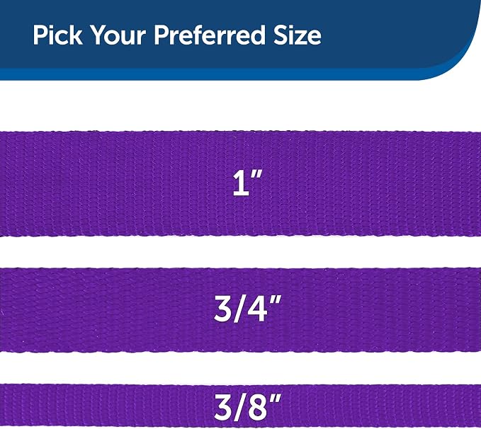 PetSafe Nylon Dog Leash - Strong, Durable, Traditional Style Leash with Easy to Use Bolt Snap - 1 in. x 6 ft., Deep Purple | Durable Nylon Leash with Easy on/off Bolt Snap Hook, Pairs Perfectly with Easy Walk Harness and Gentle Leader Headcollar - Image 5