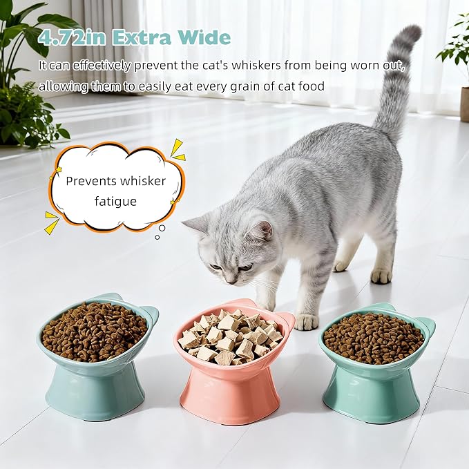 KSIA Klear Elevated Cat Bowls 2 Pack, Tilted Raised Cat Bowl for Food and Water, 4.72" Wide, Whisker Friendly Anti Vomit for Indoor Cats, Microwave and Dishwasher Safe, Green - Image 5