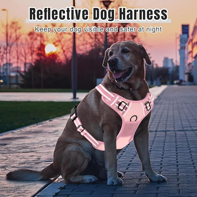 Rnivvi No Pull Dog Harness, Cute Reflective Small Sized Puppy Kitten Harness, Adjustable Soft Padded Vest for Small Dogs, Cats, Heavy Duty Pet Vest with Easy Control Handle for Walking, Pink - Image 6