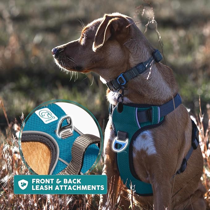Embark No Pull Dog Harness, Reflective Adjustable Training Vest, No Choke | Adjustable straps fit all dog breeds with sturdy hooks; 360° reflective trim, soft padded Harness Design for All Dogs - Image 9