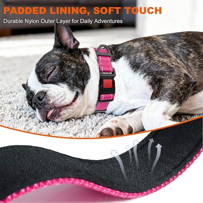 Taglory Reflective Small Dog Collar, Comfort for Safe Night Walks, Hotpink | Night-Walk Visibility, Soft Neck Cushioning, Adjustable 10-16 in, Locking Buckle, D-Ring for Leash and ID Tags - Image 4
