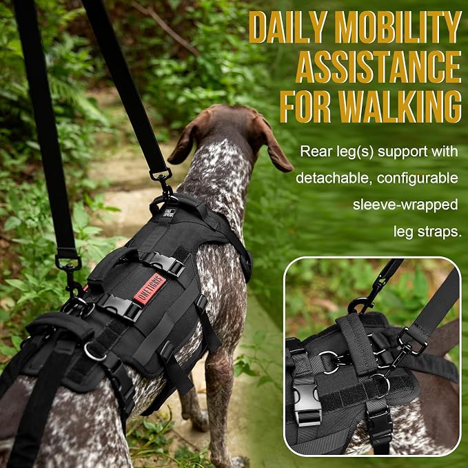 OneTigris Dog Lift Harness for Large Dogs, Dog Hip Support Brace, Full Body Dogs Lifter with Handles Invictus Multifunctional Mobility Assistance Vest for Back Legs (Black, Medium) - Image 3