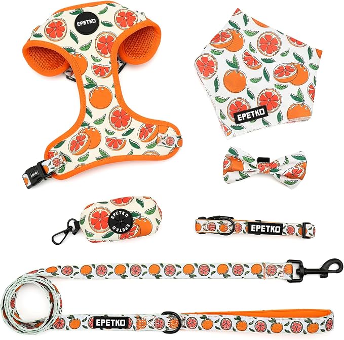 Small Dog Harness and Leash Set of 6, No Pull Soft Lightweight Mesh Puppy Harness， Adjustable Cute Floral Pattern Pet Harness for Small Medium Dogs (Orange, S) by Unknown
