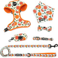 Small Dog Harness and Leash Set of 6, No Pull Soft Lightweight Mesh Puppy Harness， Adjustable Cute Floral Pattern Pet Harness for Small Medium Dogs (Orange, L) by Unknown