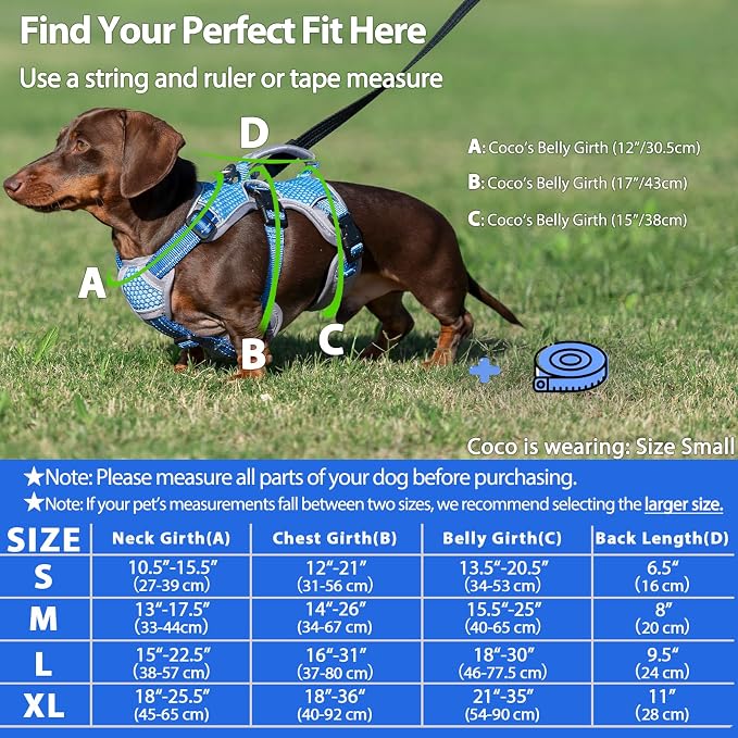 Escape Proof Dog Harness, Dachshund Harness, Reflective Dog Harness with Handle, Durable,Adjustable Vest for Small Medium Large Dogs Walking, Training, and Running Gear (Sea Blue,S) - Image 6