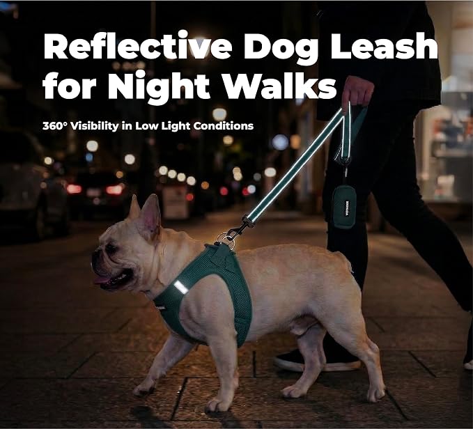 Best Pet Supplies Voyager Nylon Dog Leash - Turquoise, Medium | 5ft in Length, 3/4" in Width, Reflective, Soft Neoprene Handle, Heavy Duty Metal Clips for Running, Walking & Training - Image 4