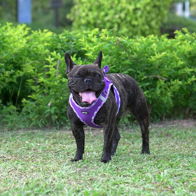 AMTOR Small Dog Harness with Leash Set, No Escape Easy Walk Puppy Harnesses for Training Walking, Step-in Reflective Soft Dogs Vest for XS S Medium Extra-Small Large Sized Dog(Purple,L) - Image 5
