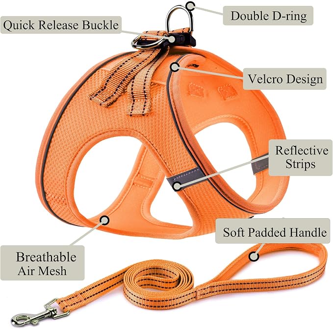 Dog Harness with Leash Set, Step-in Adjustable Puppy Pet Vest, Orange L | Lightweight Breathable Air Mesh, Night Safety Reflective, No Pull Puppy Vest Harnesses for Small Medium Large Dogs, Cats - Image 2