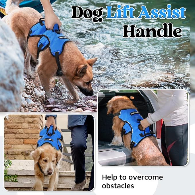 rabbitgoo Escape Proof Dog Harness for Large, No Pull with Lift Handle | No Escape, Full Soft Padded, Reflective Adjustable Vest, Leash Clip for Walking Hiking Training, Blue, Large - Image 3