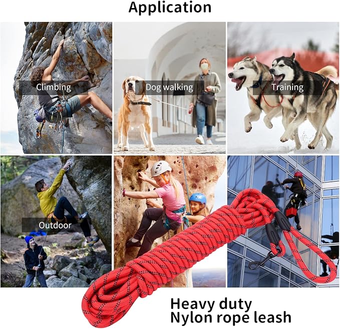 Long Dog Leash for Training 50Ft-Reflective Nylon Rope with Swivel Hook-Recall Agility Lead for Large Small Medium Dogs Outside Walking Hiking-Red - Image 2