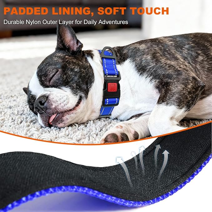 Taglory Reflective Small Dog Collar, Comfortable for Safe Night Walks, Blue | Night-Walk Visibility, Soft Neck Cushioning, Adjustable 10-16 in, Locking Buckle, D-Ring for Leash and ID Tags - Image 4