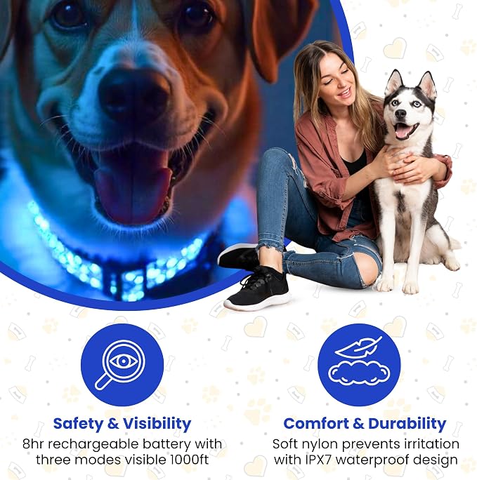 Leopard Dog Collar - Glow in the Dark USB Collar with Rechargeable Battery + Waterproof Design - Light Up Dog Collar - Blue (Medium Size) - Image 2