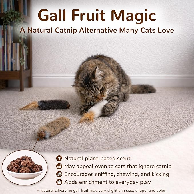 Agape Rabbit Fur Cat Toys with Catnip & Silvervine Gall Fruit, Chew Toys | 3-Pack Soft Furry Cat Toys for Indoor Cats and Kittens, Great for Biting, Chasing, Bunny Kicking and Self Play - Image 5