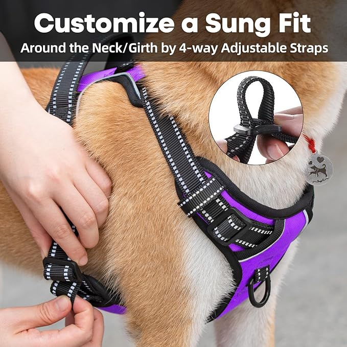 PoyPet No Pull Dog Harness Medium, Reflective Vest with Front Clip & Handle | Easy On/Off, No Choke, Adjustable, 2 Leash D-rings, Soft Padded, Breathable, Oxford, for Walking Training, M, Purple - Image 5
