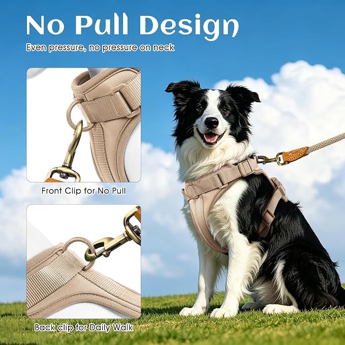 Wisedog Lightweight No Pull Dog Harness, Sand Color, Large | Air Mesh, 3 Clips, Adjustable, No Choke Design, Ideal for Walking Training - Image 4