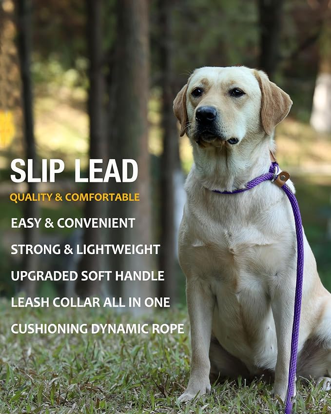 2 Pack Dog Leash Slip Lead Braided Rope Pet Training Loop Leashes 5ft 6ft | Lynxking Strong Heavy Duty 1/2" 3/8", Durable Padded Handle No Pull Basic Training Nylon Lead,Small Medium Large Dogs Puppy - Image 4