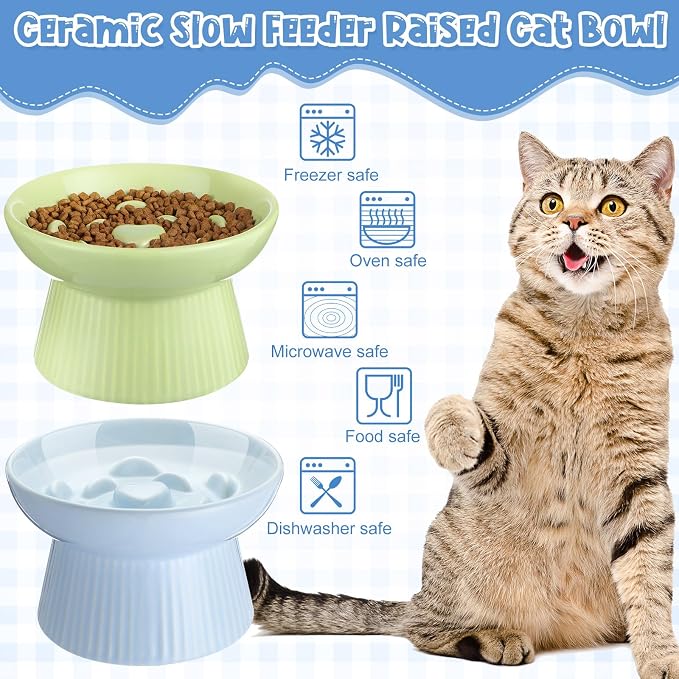 Tioncy 2 Pcs Ceramic Elevated Slow Feeder Cat Bowl, Raised Cat Slow Feeder Bowl, Anti Vomiting for Dry and Wet Food, No Spill High Edge Easy Clean Dishwasher Safe (Green,Blue) - Image 5