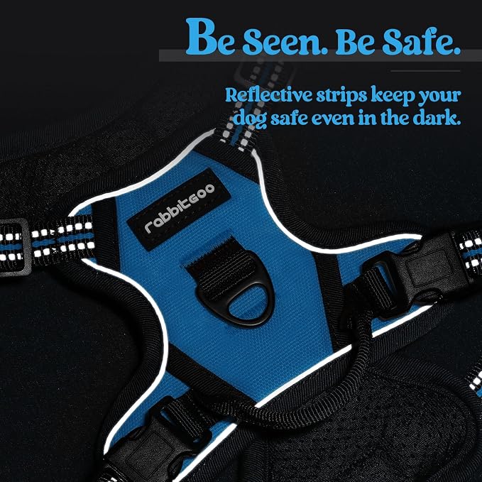 rabbitgoo Dog Harness, No Pull for Small Dogs with 2 Leash Clips, Pet Vest | No Choke with Handle, Adjustable Soft Padded, Reflective, Easy Control for Walking, Blue, X-Small - Image 7