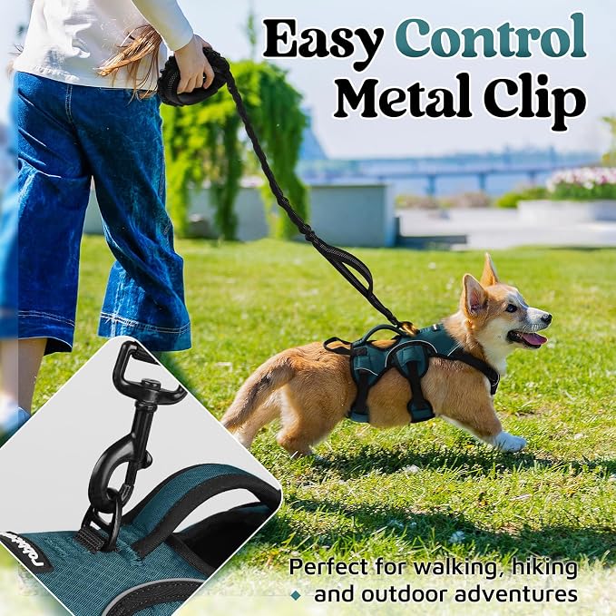 rabbitgoo Escape Proof Dog Harness for Small, No Pull with Lift Handle | No Escape, Full Soft Padded, Reflective Adjustable Vest, Leash Clip for Walking Hiking Training, Dark Green, Small - Image 5
