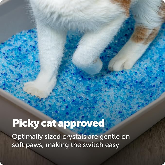 PetSafe ScoopFree Premium Crystal Litter, Fresh Scent, 4.3 Lb Bag, 2 Pack | Ultra-Absorbent Crystal Cat Litter, 5x Faster Odor Control, 99% Dust-Free, Low Tracking, Refills Any Cat Box or Tray - Image 8