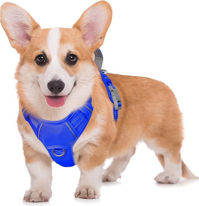 BARKBAY No Pull Dog Harness Large Reflective Dog Harness with Front Clip and Easy Control Handle for Walking Training Running with ID tag Pocket(Sapphire Blue,M) by BARKBAY