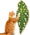 Natural Leaf-Shaped Sisal Cat Scratcher for Wall and Floor, Large Cat Scratch Pad for Indoor Cats Furniture Protection, Extra Large Wall Mounted Cat Scratching Mat for Claw Care (Green) by Unknown