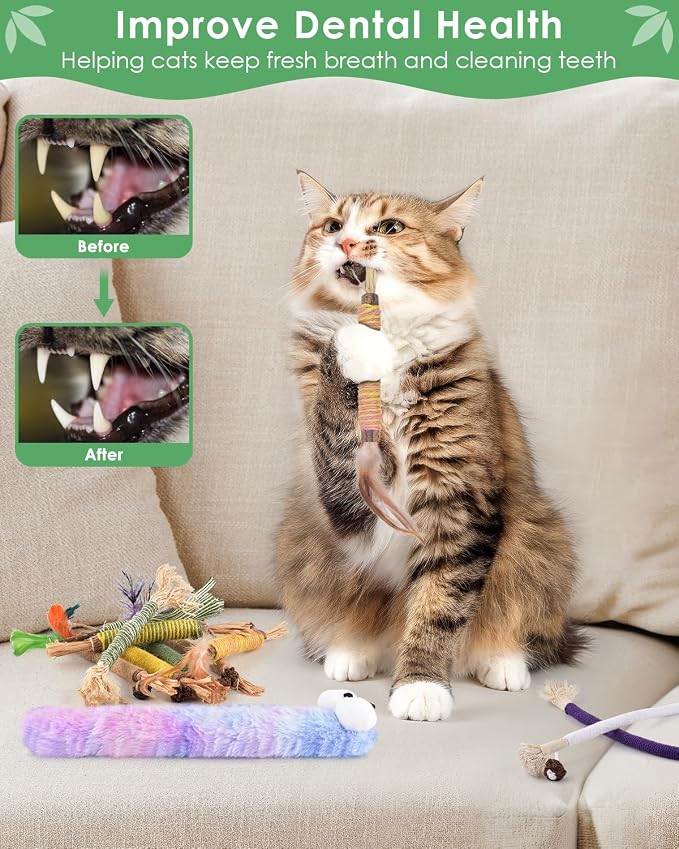 Bissap 20 PCS Silvervine Chew Sticks for Cats, Catnip Chew Ropes Cat Toys for Indoor Cat Kitten Teeth Grinding Interactive Feather Toys for Aggressive Chewers Dental Care - Image 6