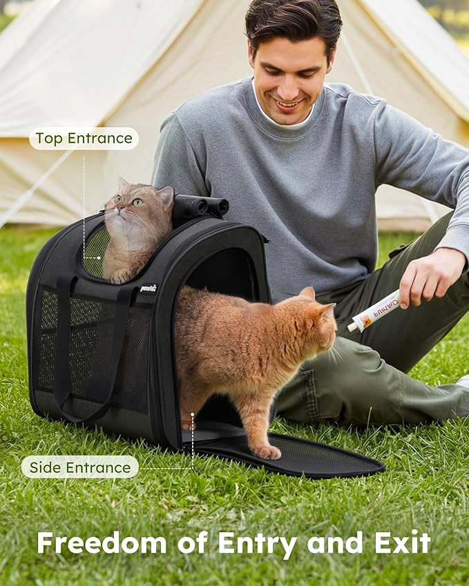 Pecute Cat Backpack with Widened Interior Space, Upgraded Dog Backpack Carrier with Various Ways to Carry, Pet Backpack with Breathable Mesh, Pet Travel Carrier with Soft Padded,Dark Grey | Breathable Mesh, Reinforced Support, Various Carry Ways, Ergon... - Image 6