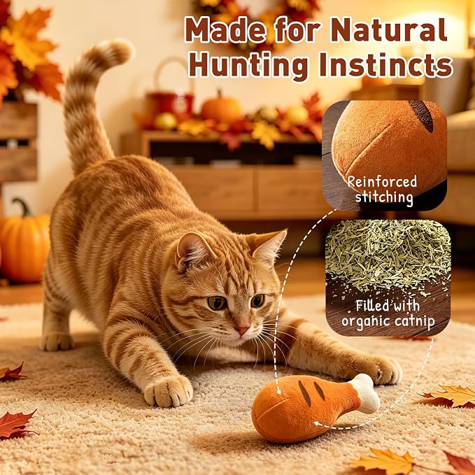 CiyvoLyeen Plush Thanksgiving Catnip Toys for Indoor Cats 6 Pack | Interactive Fall Pumpkin Cat Chew Toys, Boredom Relief, Soft Durable Plush with Catnip, Funny Gift for Cat Lovers & Kitten - Image 3