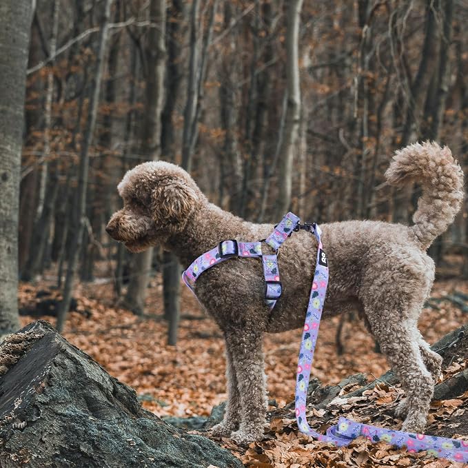 Dog Harness Leash Set Adjustable Heavy Duty No Pull Halter Harnesses for Small Medium Large Breed Dogs Back Clip Anti-Twist Perfect for Walking - Image 2