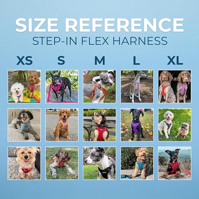 Voyager Step-in Flex Adjustable Dog Harness - Turquoise, Large | 20 - 25" in Chest, Fully Adjustable, Reflective Bands, All Weather Breathable Air Mesh, Lightweight, Fast Drying - Image 6