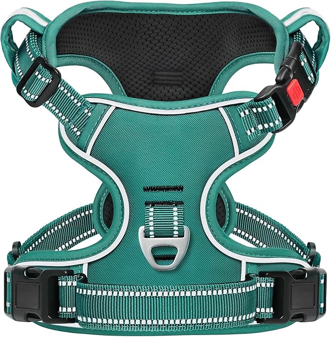 Timos Small Dog Harness, No Pull No Choke, Easy On & Off, Grass Green, S | Adjustable Reflective Soft Padded, Neck Quick Release with 3 Buckles, Front & Back 2 Clips and Handle for Walking Training by Timos