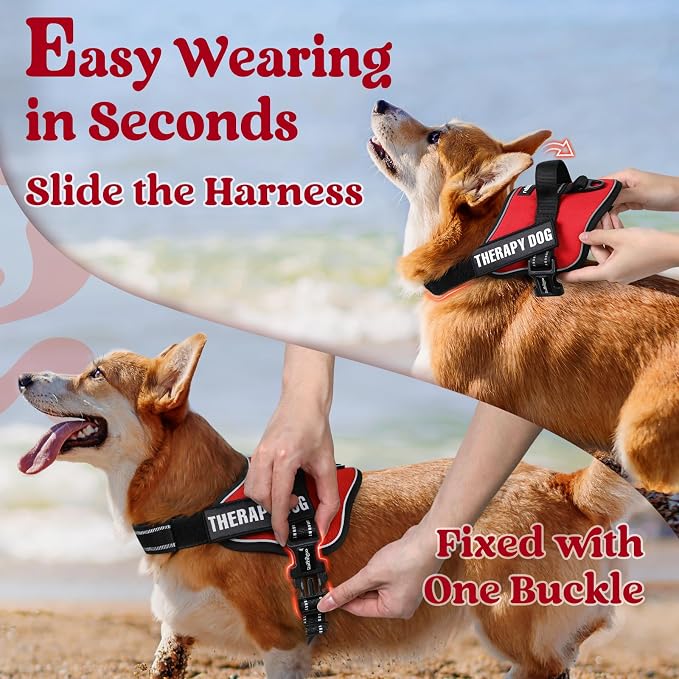 rabbitgoo No Pull No Choke Pet Vest, Adjustable Pet Harness with Molle | Medium Sized Dog Harness, Reflective, Easy Wearing with One Buckle for Walking, Training, Red, M - Image 3