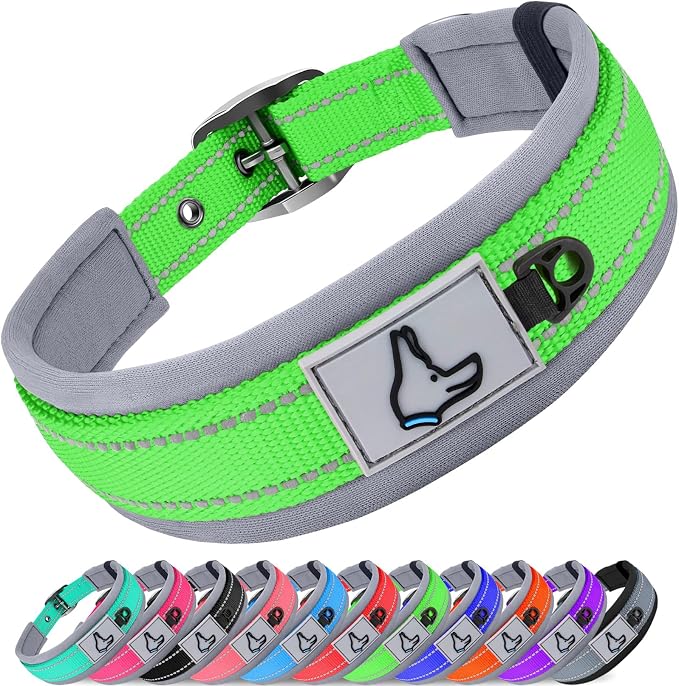 Joytale Reflective Dog Collar for Small Dogs with Wide Padding, Green | Soft Cushion Reduce Neck Strain, Night Safety Walking, Metal Buckle and Adjustable Eyelets, Separated Dog ID Tag Ring by Joytale