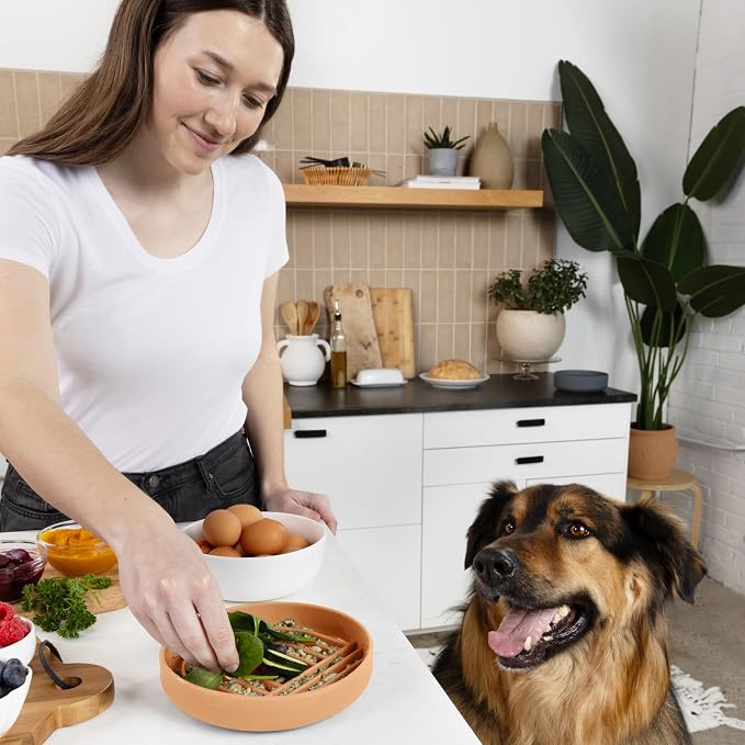 Should We Go? Slow Feeder Dog Bowls - Medium Size Silicone Slow Eating Dog Bowl for Puppies & Dogs with Suction Cup -Dishwasher-Safe,Lick Mat Design,Reduces Gulping,for All Breeds,6”x1.25”-Terracotta - Image 6
