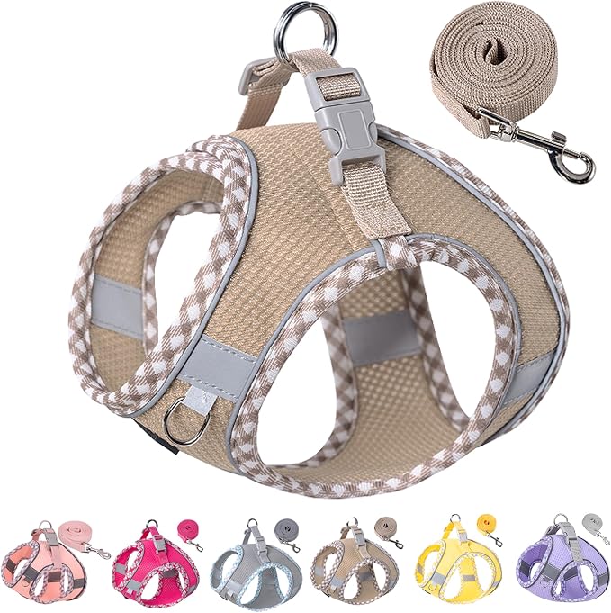 Petank Dog Harness for Small Medium Dogs No Pull, Puppy Harness and Leash Set for Walking, Running, Training, Small Dog Harness, Medium Dog Harness (Brown, XS) by Petank