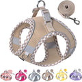 Petank Dog Harness for Small Medium Dogs No Pull, Puppy Harness and Leash Set for Walking, Running, Training, Small Dog Harness, Medium Dog Harness (Brown, XXS) by Petank